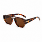 Tortoise Brown